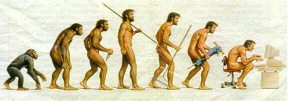 evolution